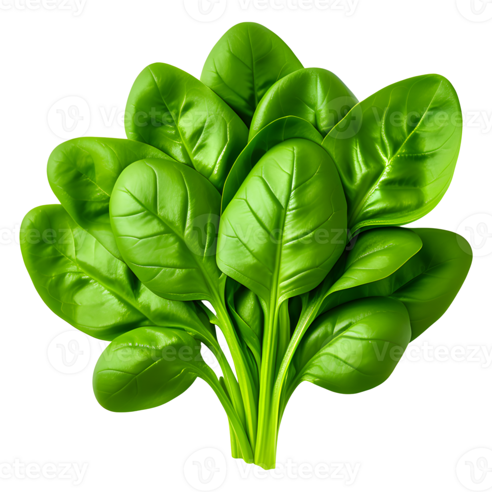 AI generated Fresh Spinach Isolated on Transparent Background png