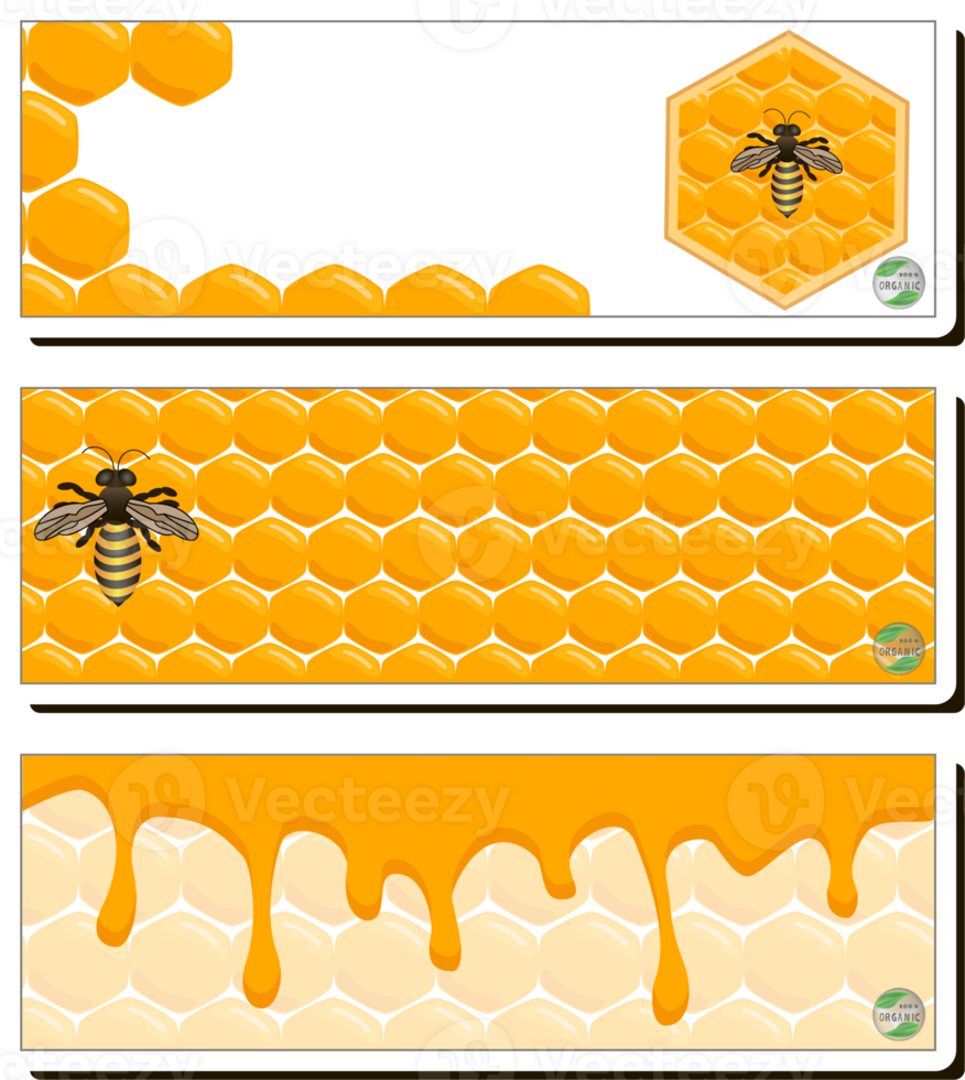 Drop of bee honey drip from hexagonal honeycombs filled with golden nectar png