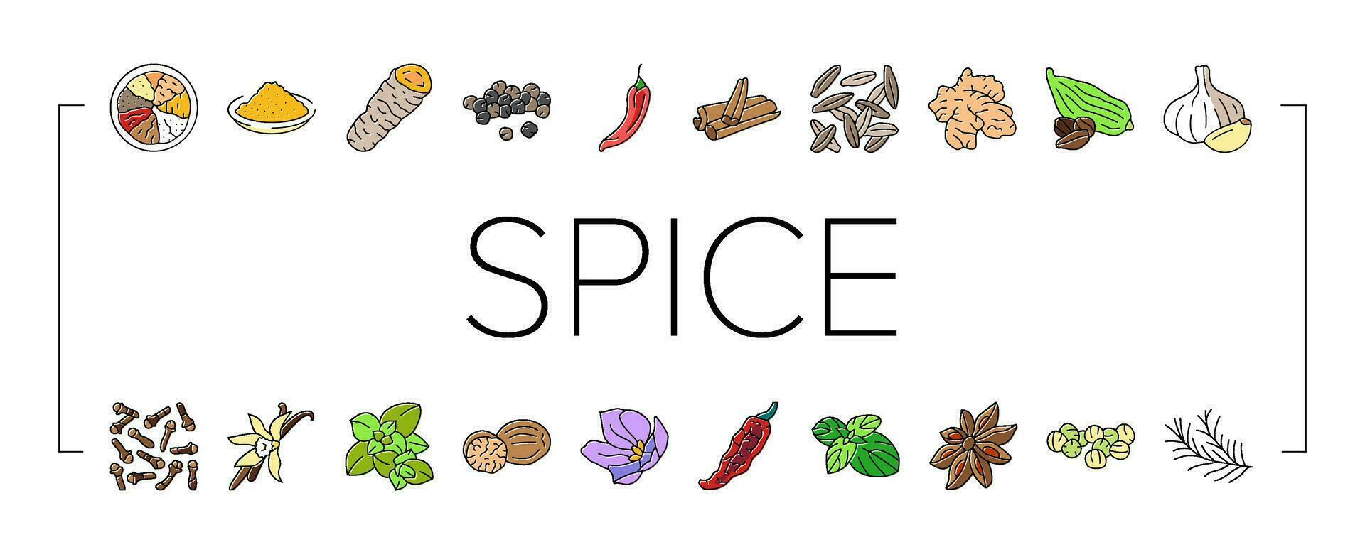 spice food herb leaf icons set vector