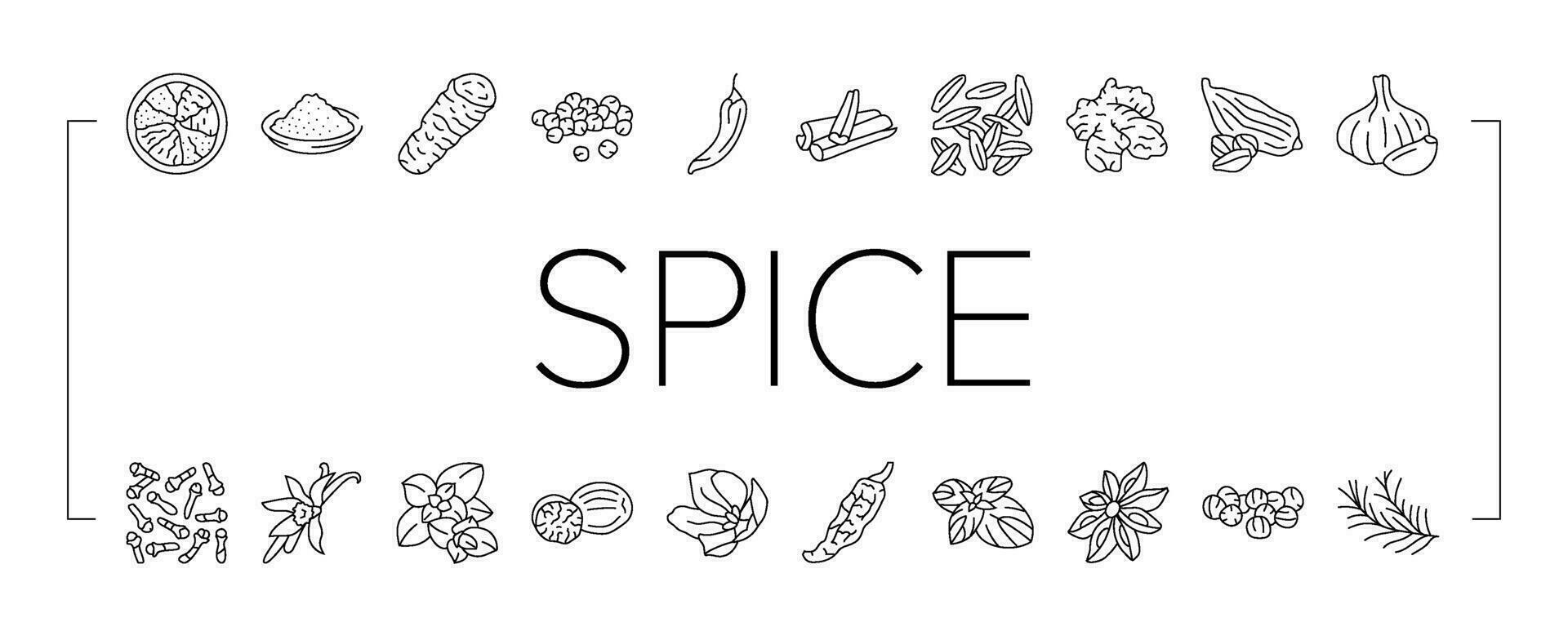 spice food herb leaf icons set vector