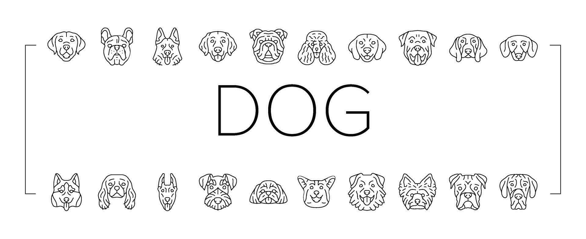 perro perrito mascota animal linda íconos conjunto vector