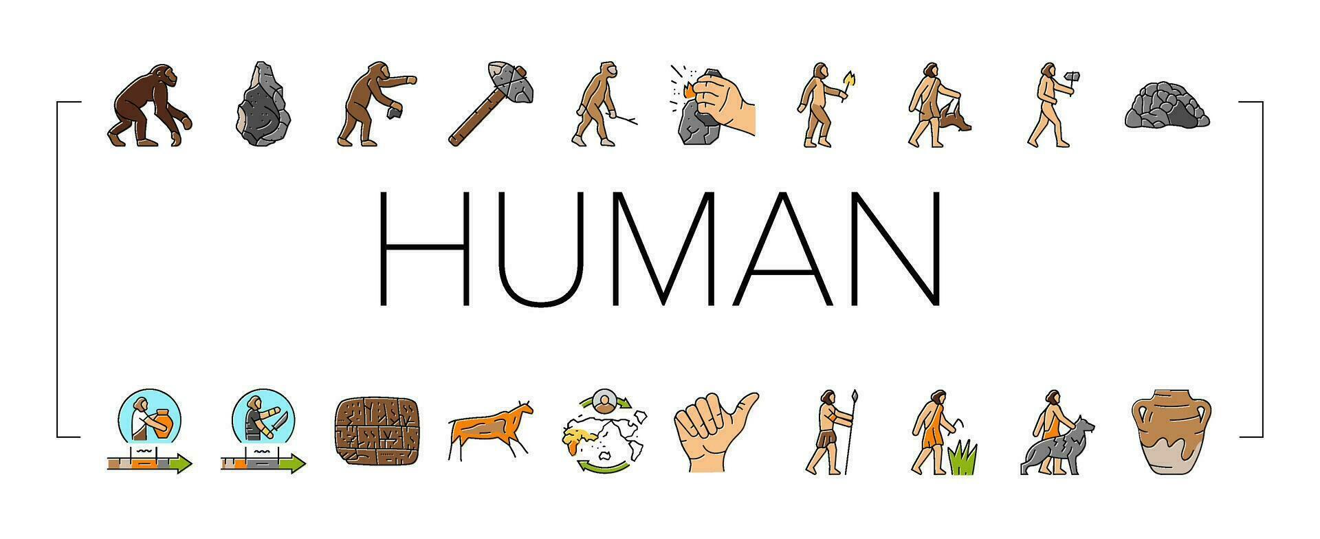 humano evolución hombre cavernícola íconos conjunto vector