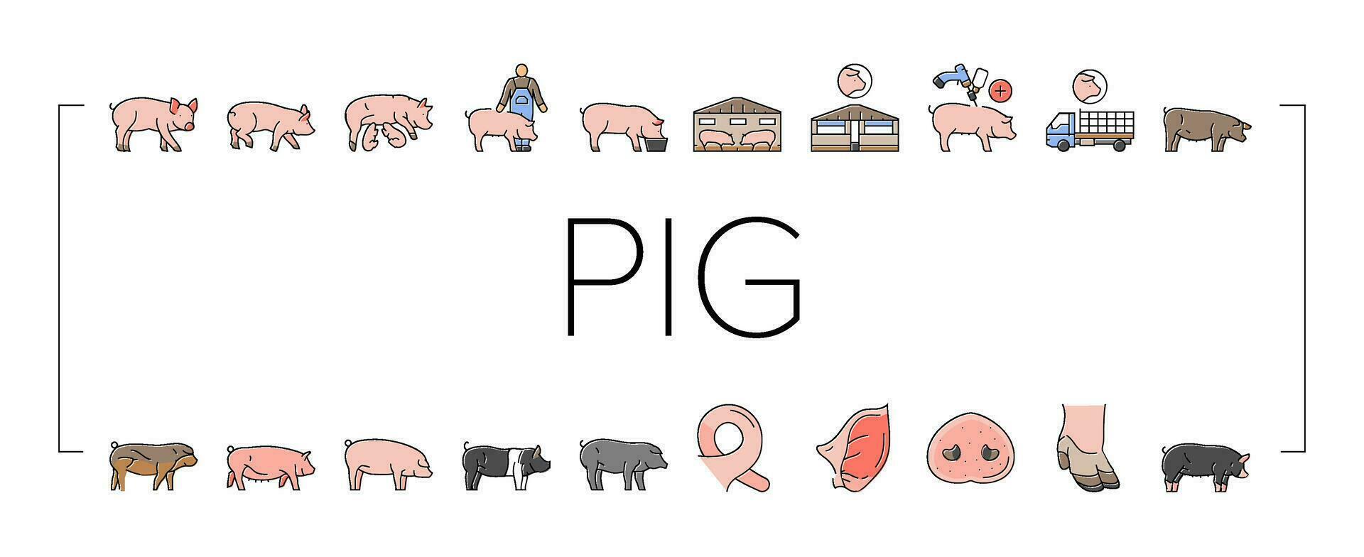 pork pig farm animal piglet hog icons set vector