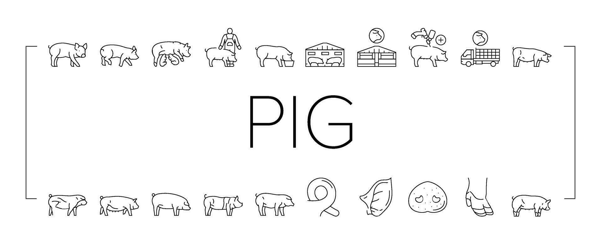 pork pig farm animal piglet hog icons set vector