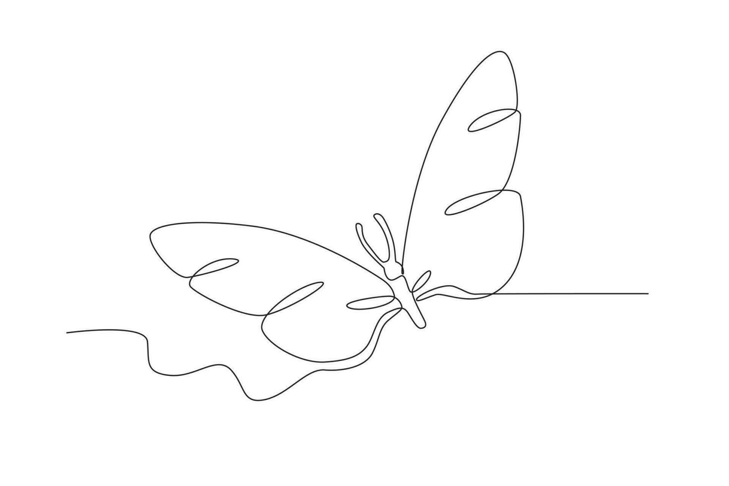 A butterfly with beautiful elongated wings vector