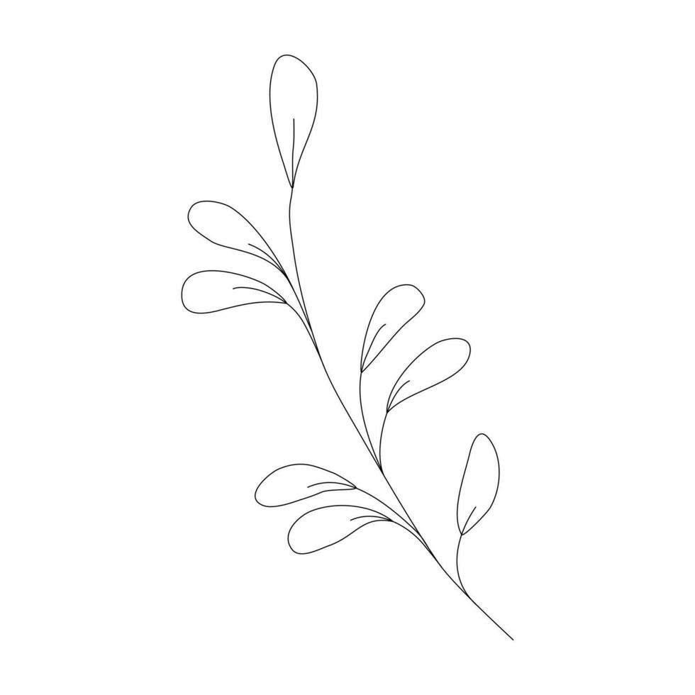 Abstract twig with leaves. Hand drawn illustration. Minimalist doodle style icon. Outline template for greeting card, simple logotype, cute decorations, invitations, cosmetic designs, gifts. Eps. vector