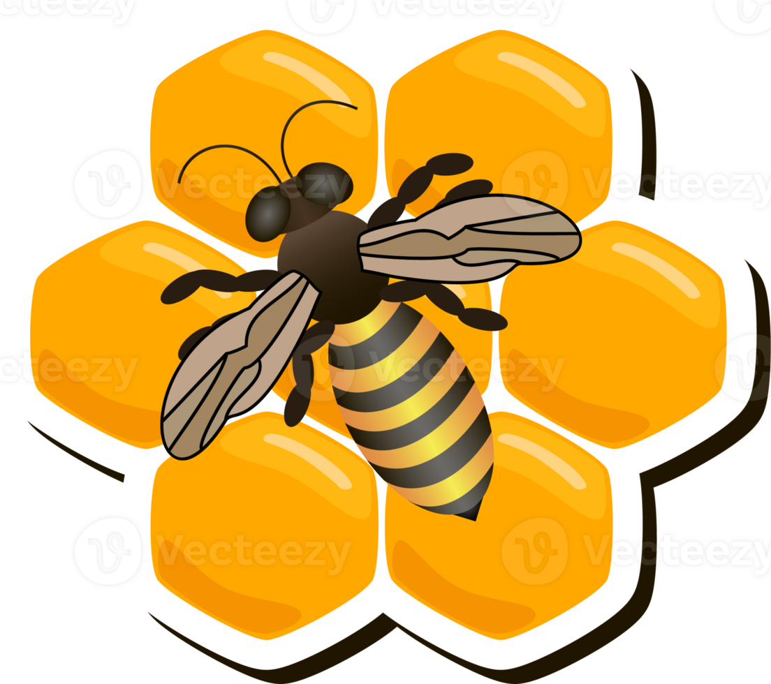 Illustration on theme for label of sugary flowing down honey in honeycomb with bee png