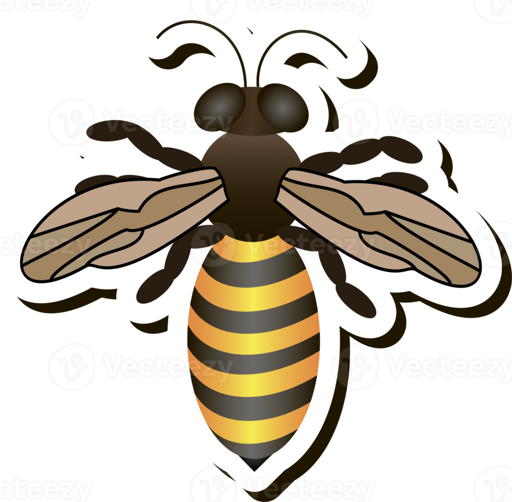 Illustration on theme for label of sugary flowing down honey in honeycomb with bee png