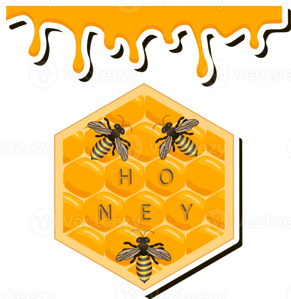 Drop of bee honey drip from hexagonal honeycombs filled with golden nectar png