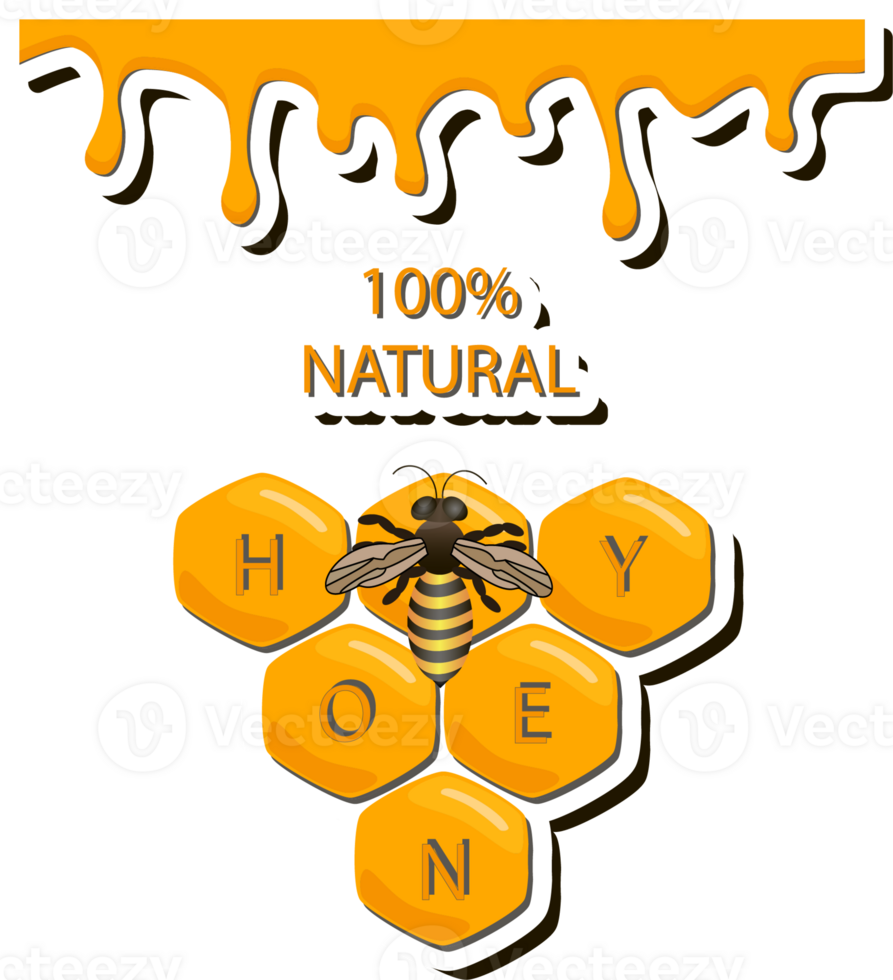 Drop of bee honey drip from hexagonal filled with golden