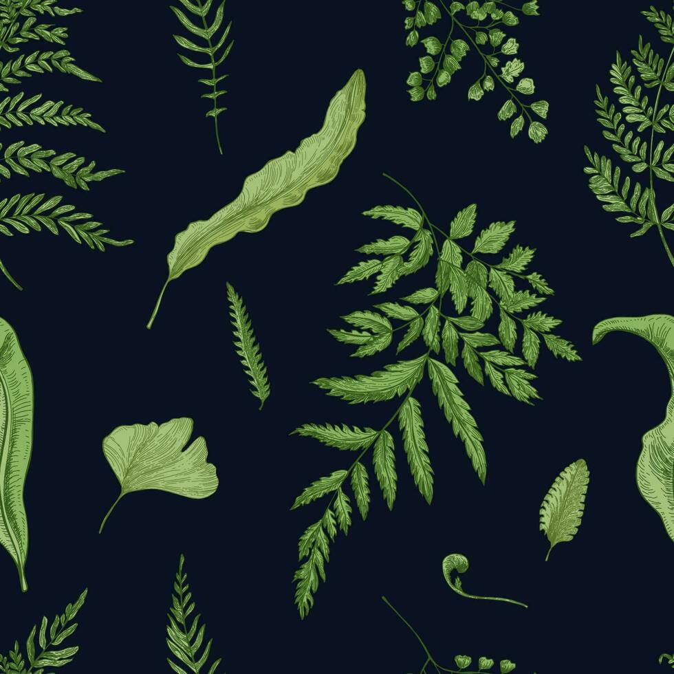 Fern green leaves on black background. Hand drawn seamless pattern with realistic plants. Colorful vector illustration.