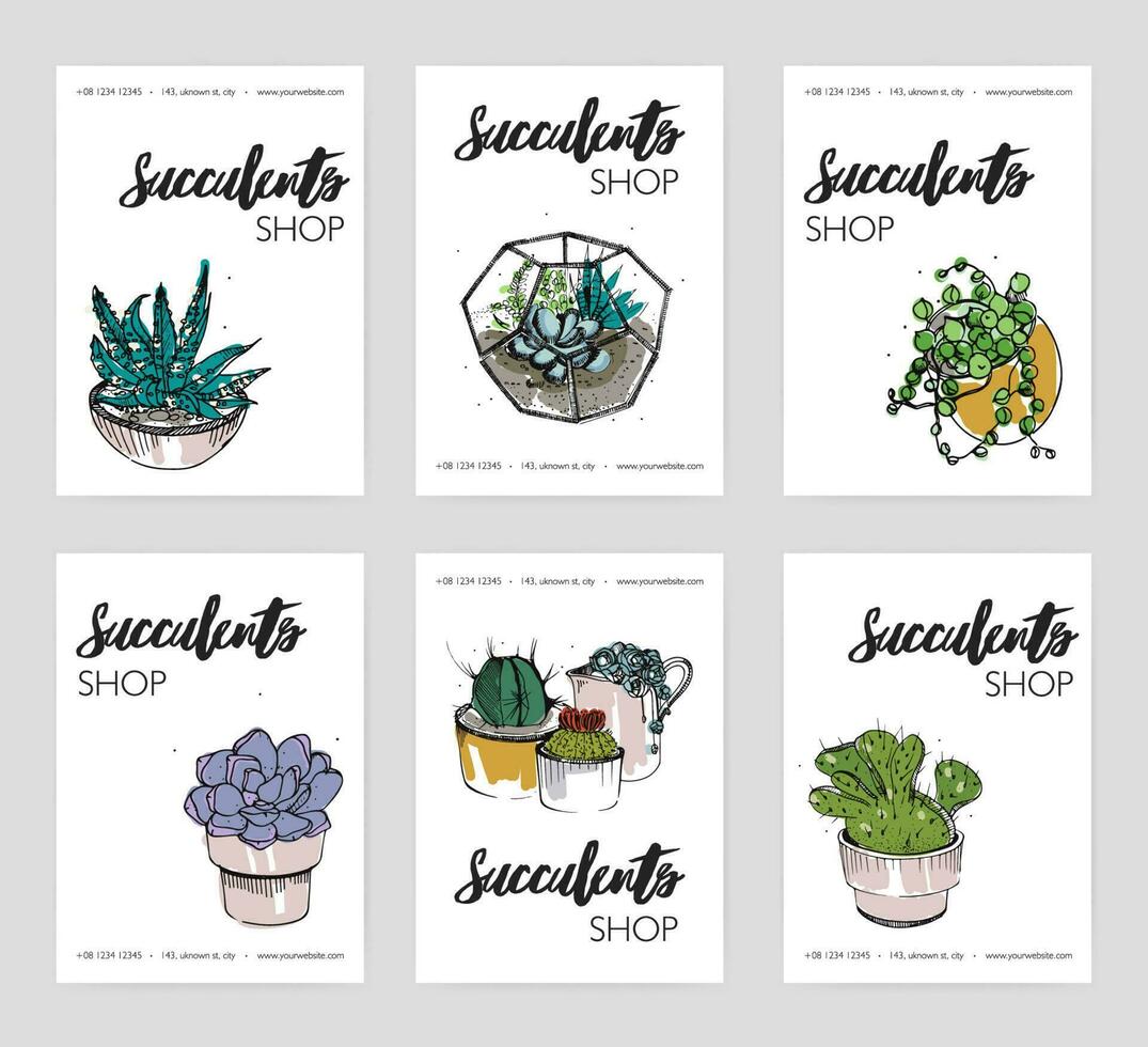 Succulents shop advertising cards collection. Colorful domestic plants store flyer set. Vector illustration on white background.