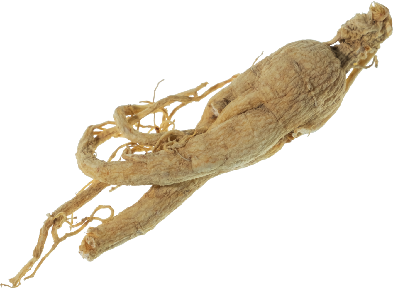 ginseng cut out on transparent background. 36283134 PNG
