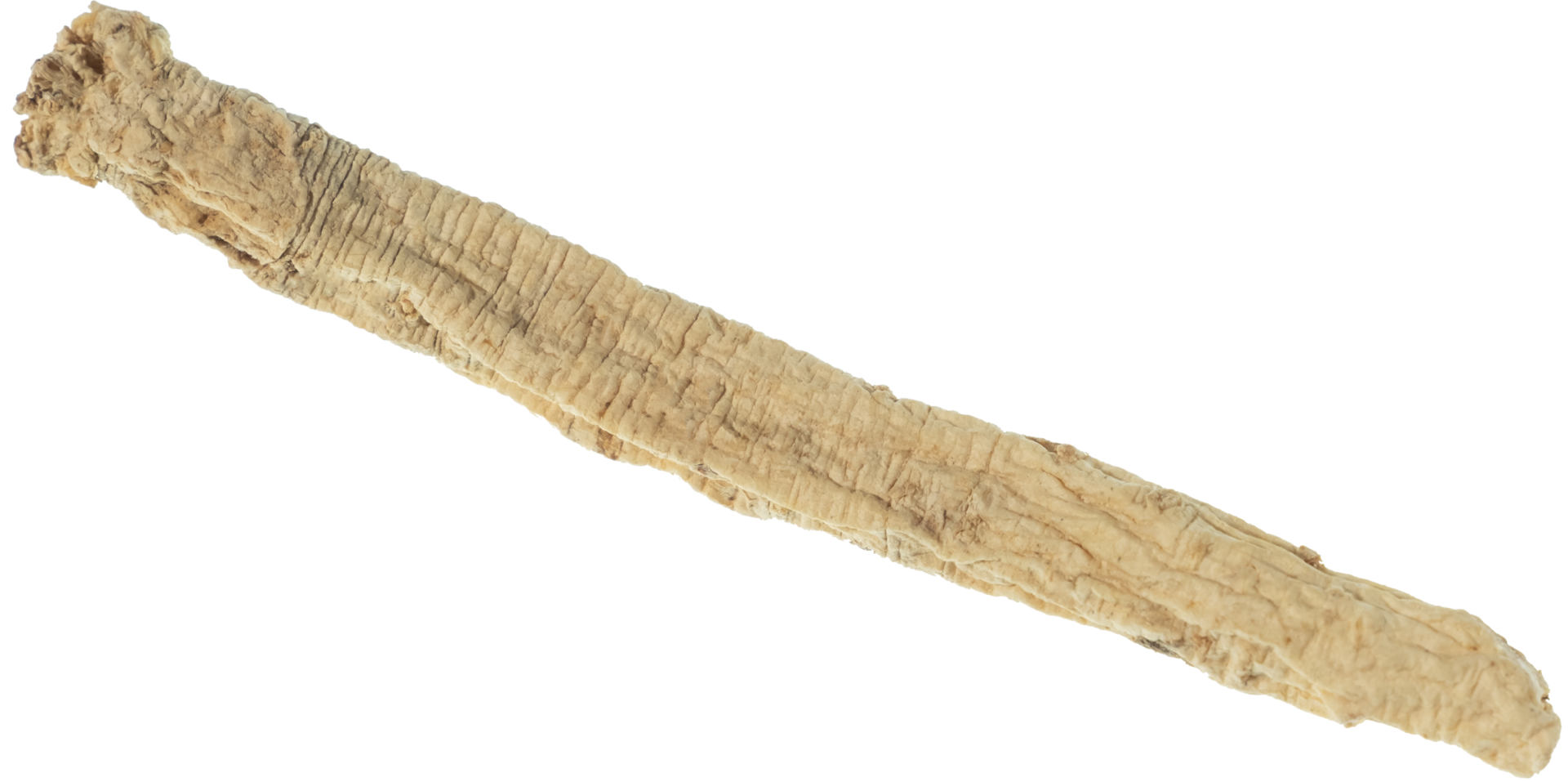 dang shen stick cut out on transparent background. png