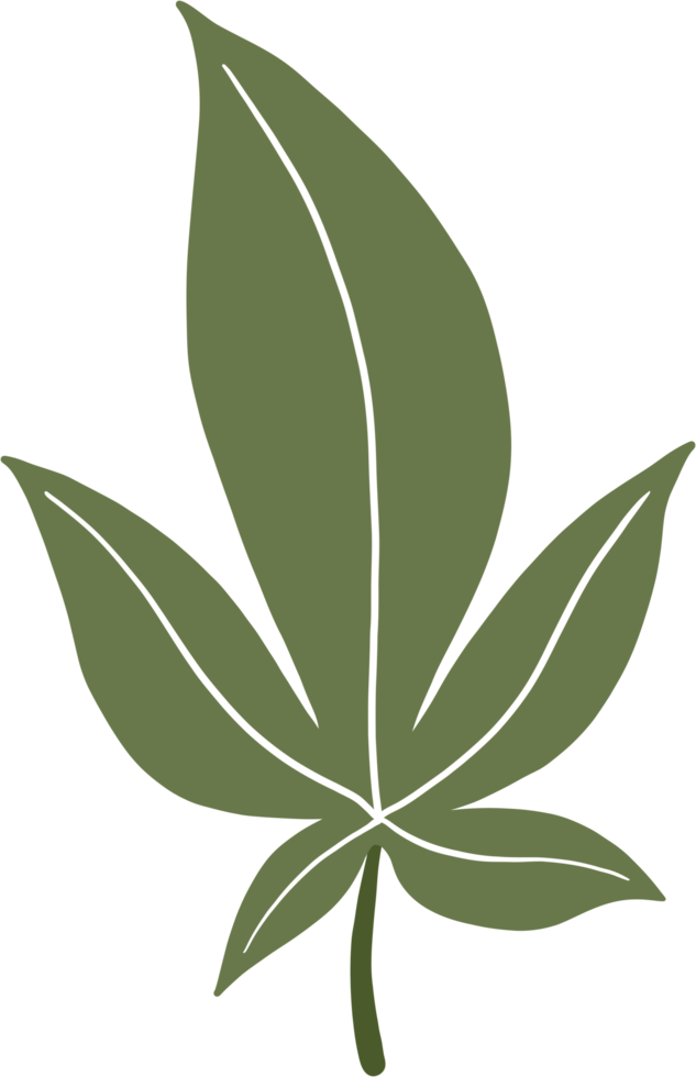simplicity cannabis leaf freehand drawing png