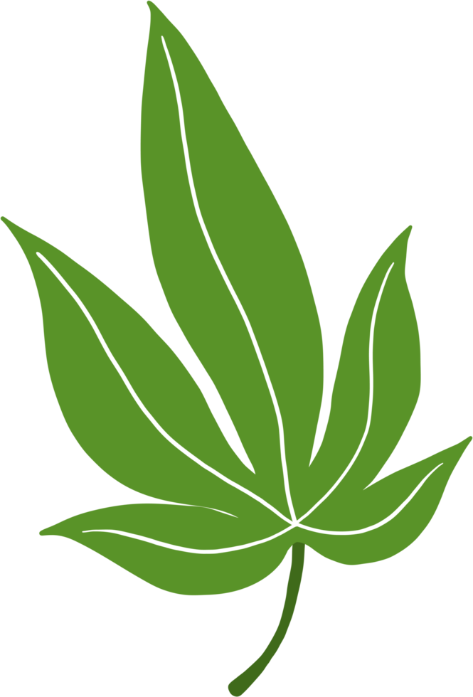 enkelhet cannabis blad freehand teckning png