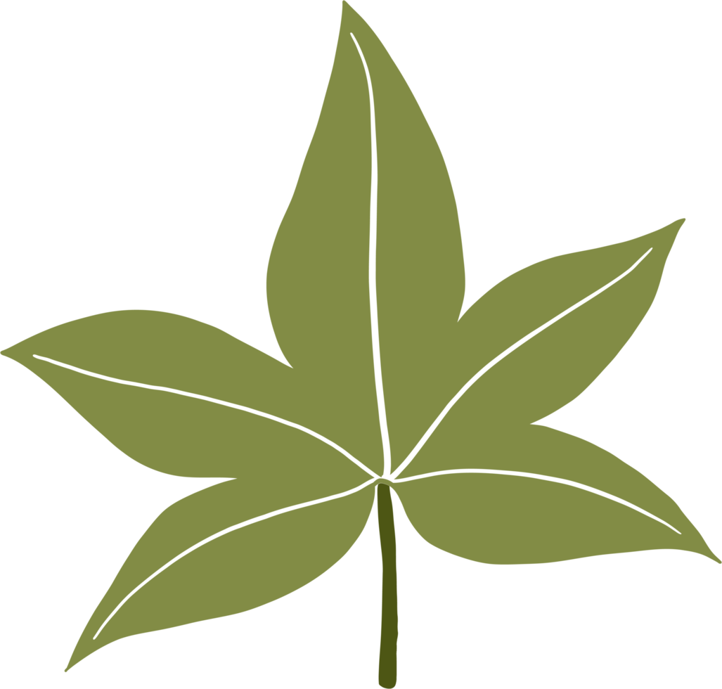 simplicity cannabis leaf freehand drawing png