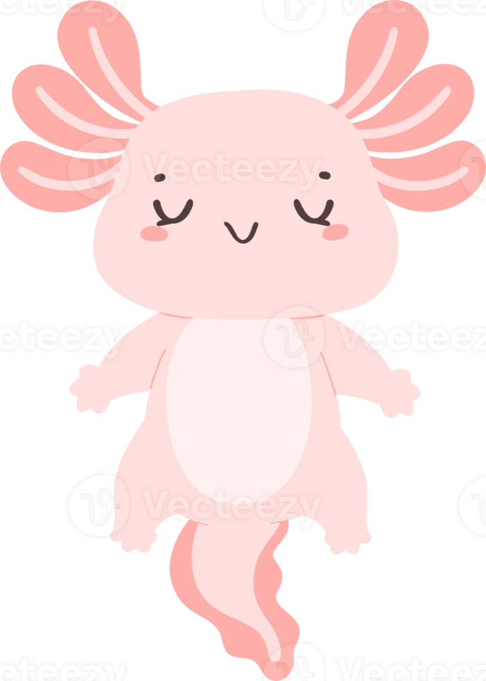 Cute baby Axolotl Mexican walking fish in pink png