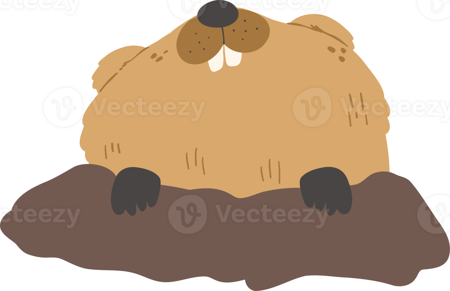 Cute Groundhog illustration png
