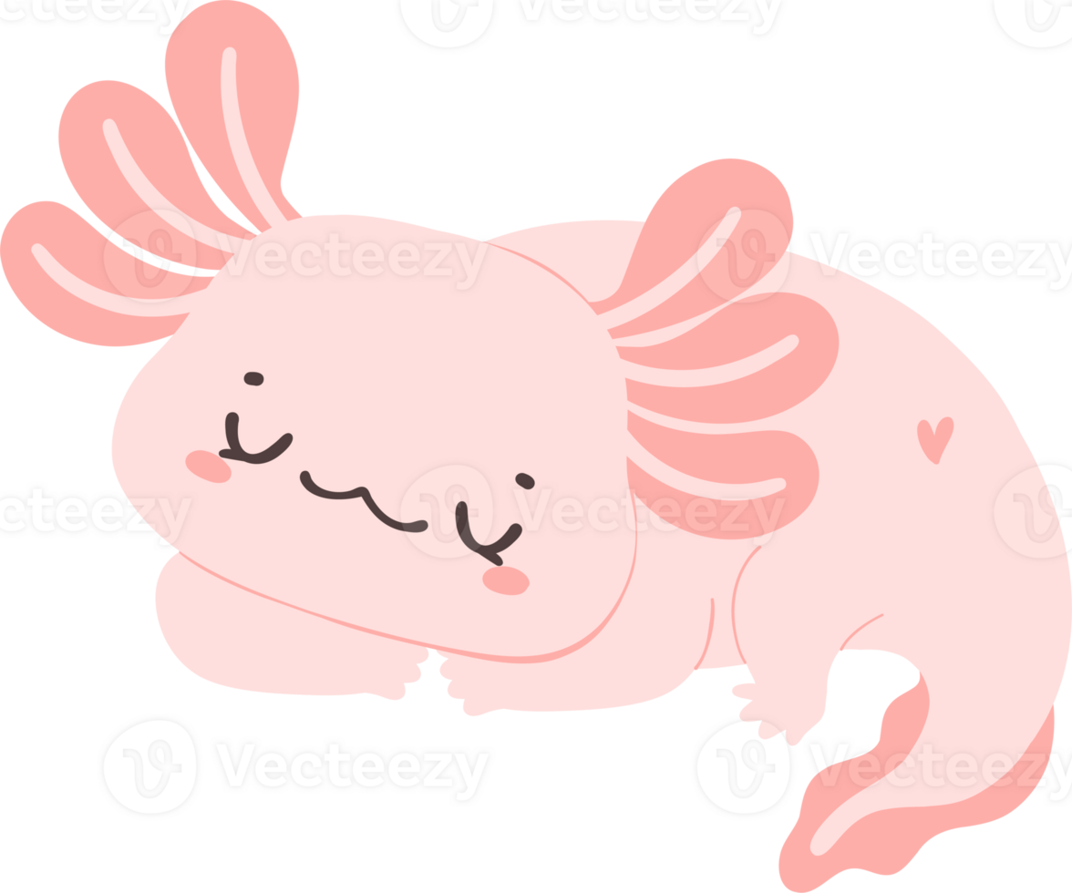 Cute baby Axolotl Mexican walking fish in pink png