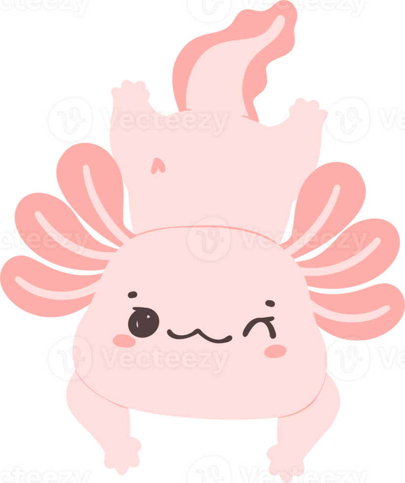 Cute baby Axolotl Mexican walking fish in pink png