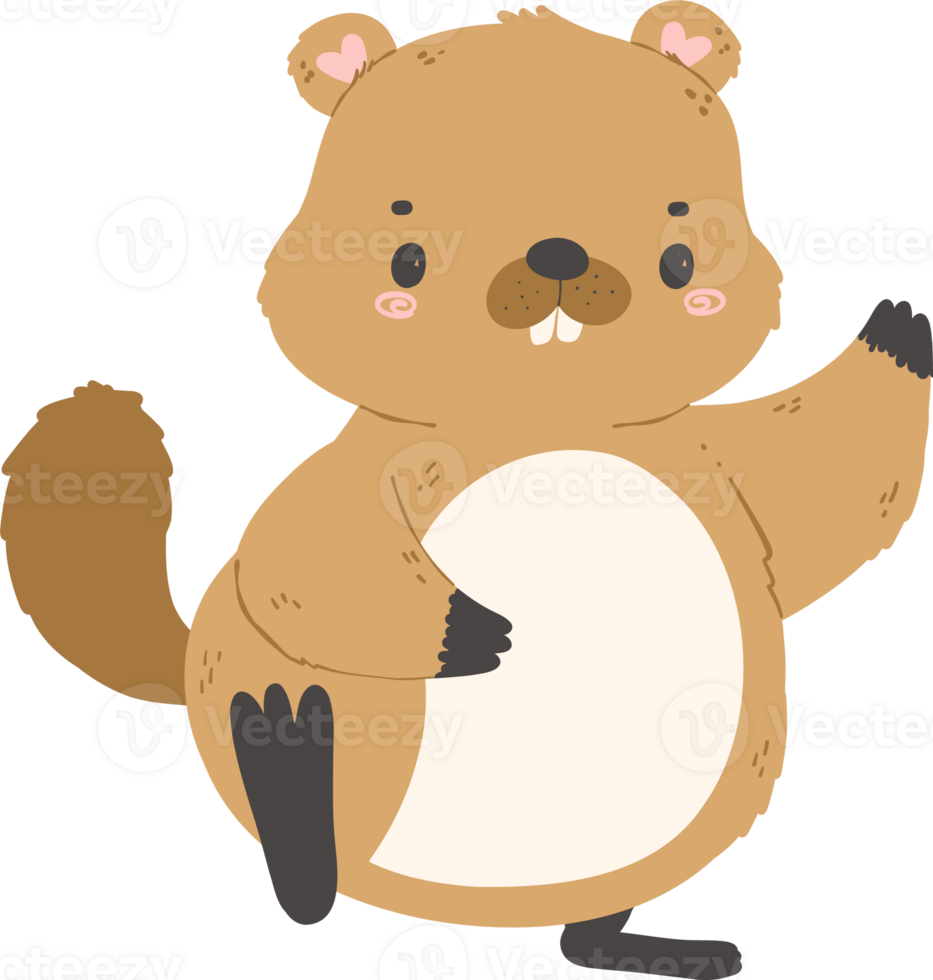 Cute Groundhog illustration png