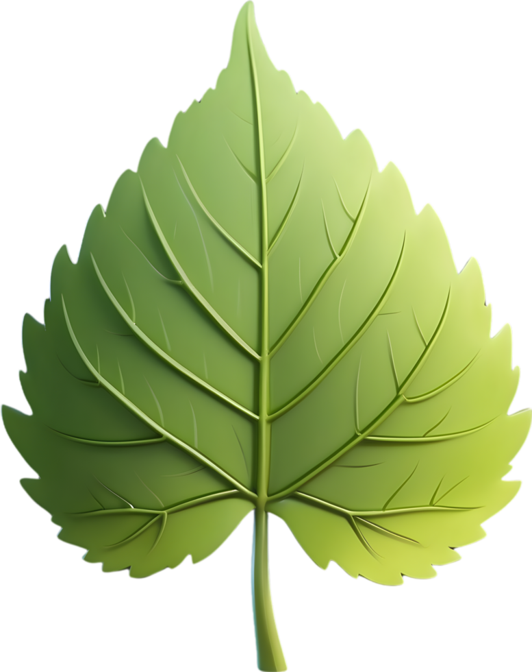 AI generated Leaf illustration visuals, Various leaf shapes stock, Different types of leaves image maple leaf png