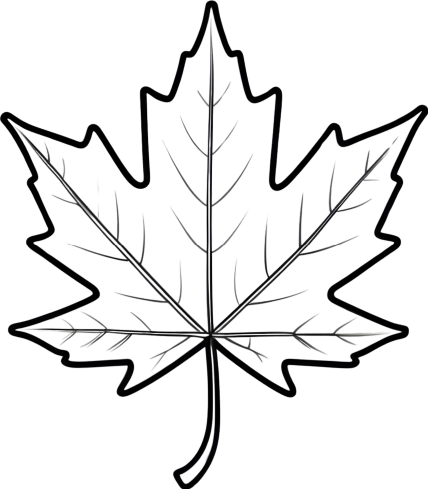 AI generated Leaf illustration visuals, Various leaf shapes stock, Different types of leaves image maple leaf png