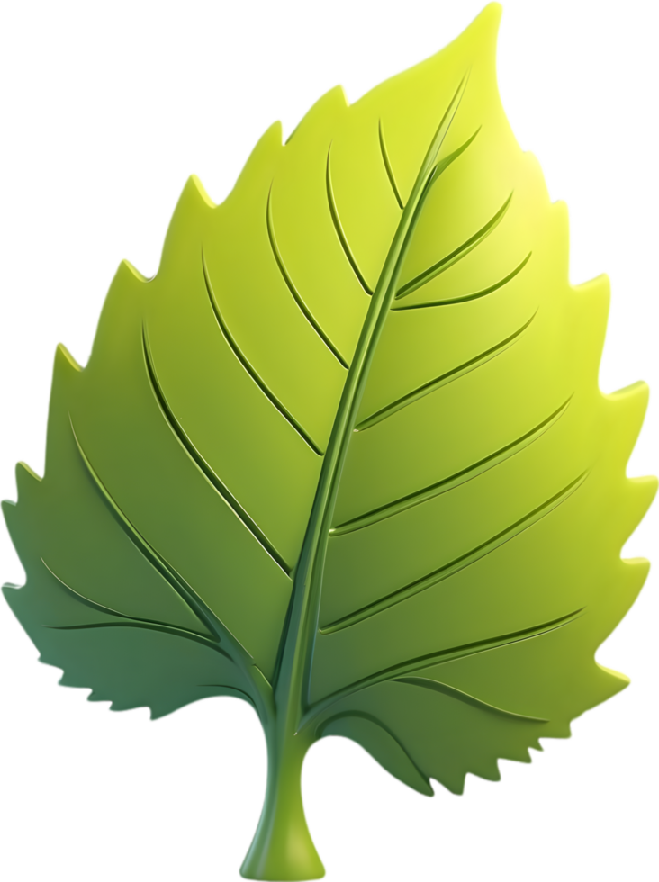 AI generated Leaf illustration visuals, Various leaf shapes stock, Different types of leaves image maple leaf png