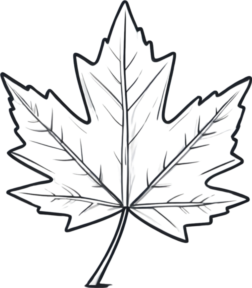 AI generated Leaf illustration visuals, Various leaf shapes stock, Different types of leaves image maple leaf png