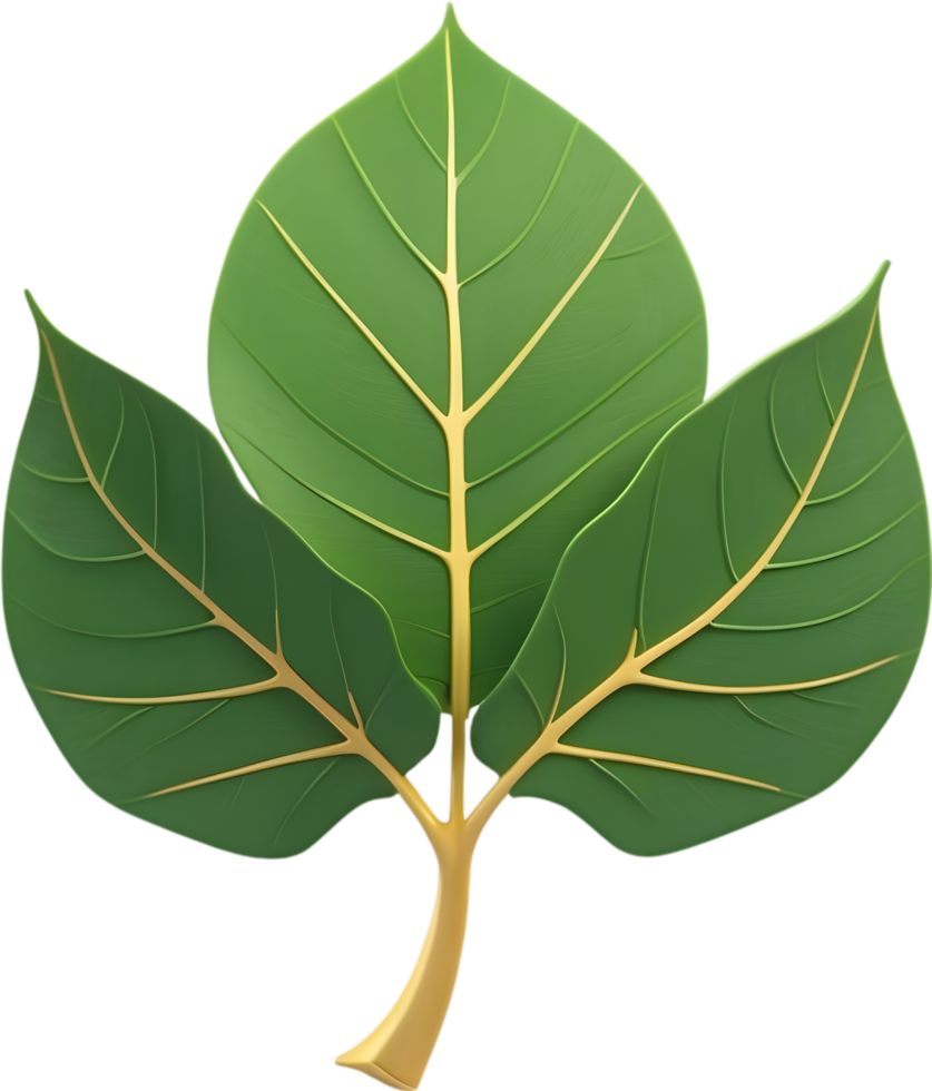AI generated Leaf illustration visuals, Various leaf shapes stock, Different types of leaves image maple leaf png