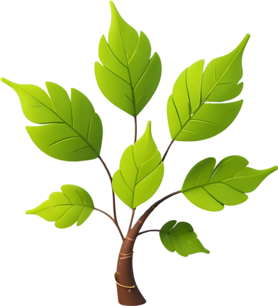 AI generated Leaf illustration visuals, Various leaf shapes stock, Different types of leaves image maple leaf png