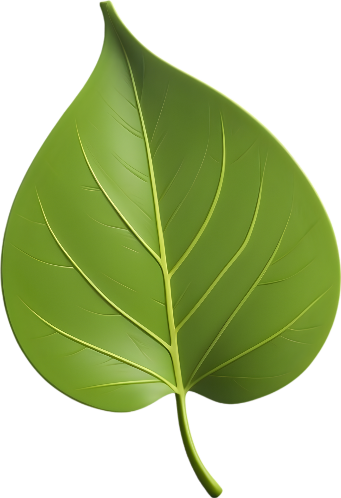 Ai generated leaf illustration visuals various leaf shapes stock