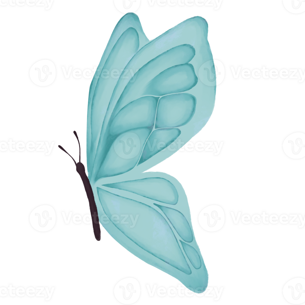 Hand drawn water color butterfly illustrations. Perfect for decoration, wedding invitation, or valentine's day design. png
