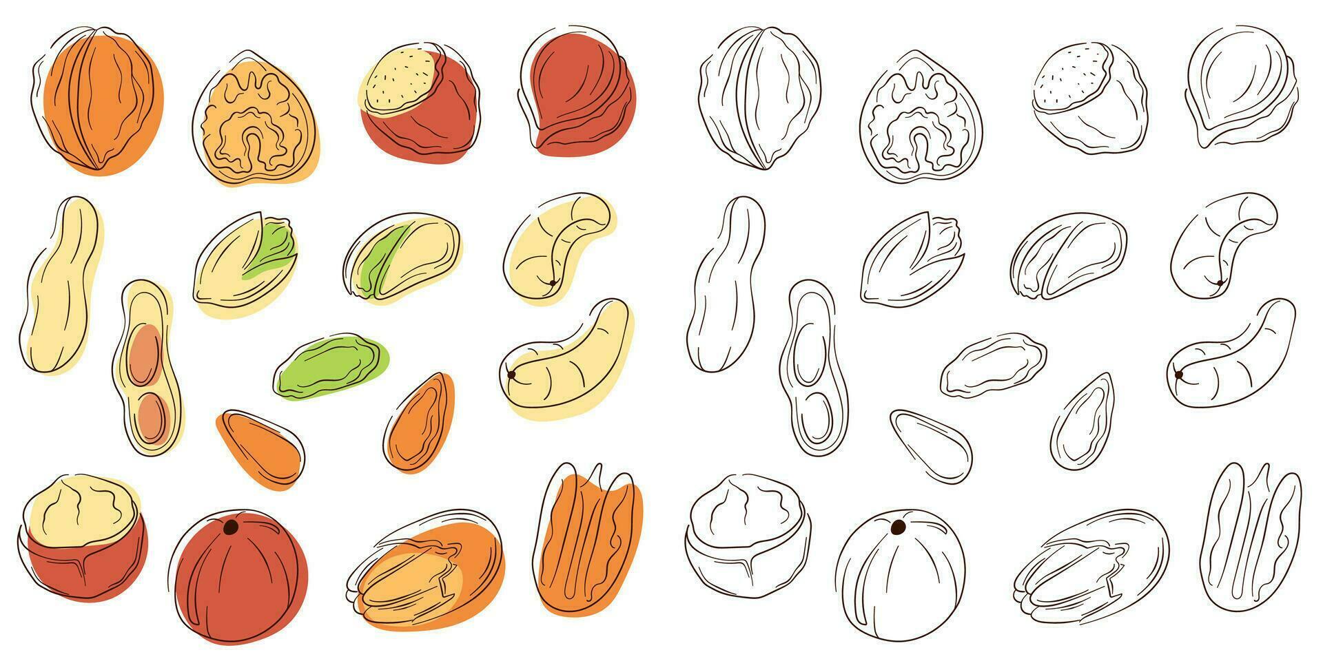 nueces conjunto en línea Arte estilo con color. plano colección de avellana, pistacho, almendra, anacardo, macadamia, nuez, maní, pacana. vector ilustración aislado en un blanco antecedentes.