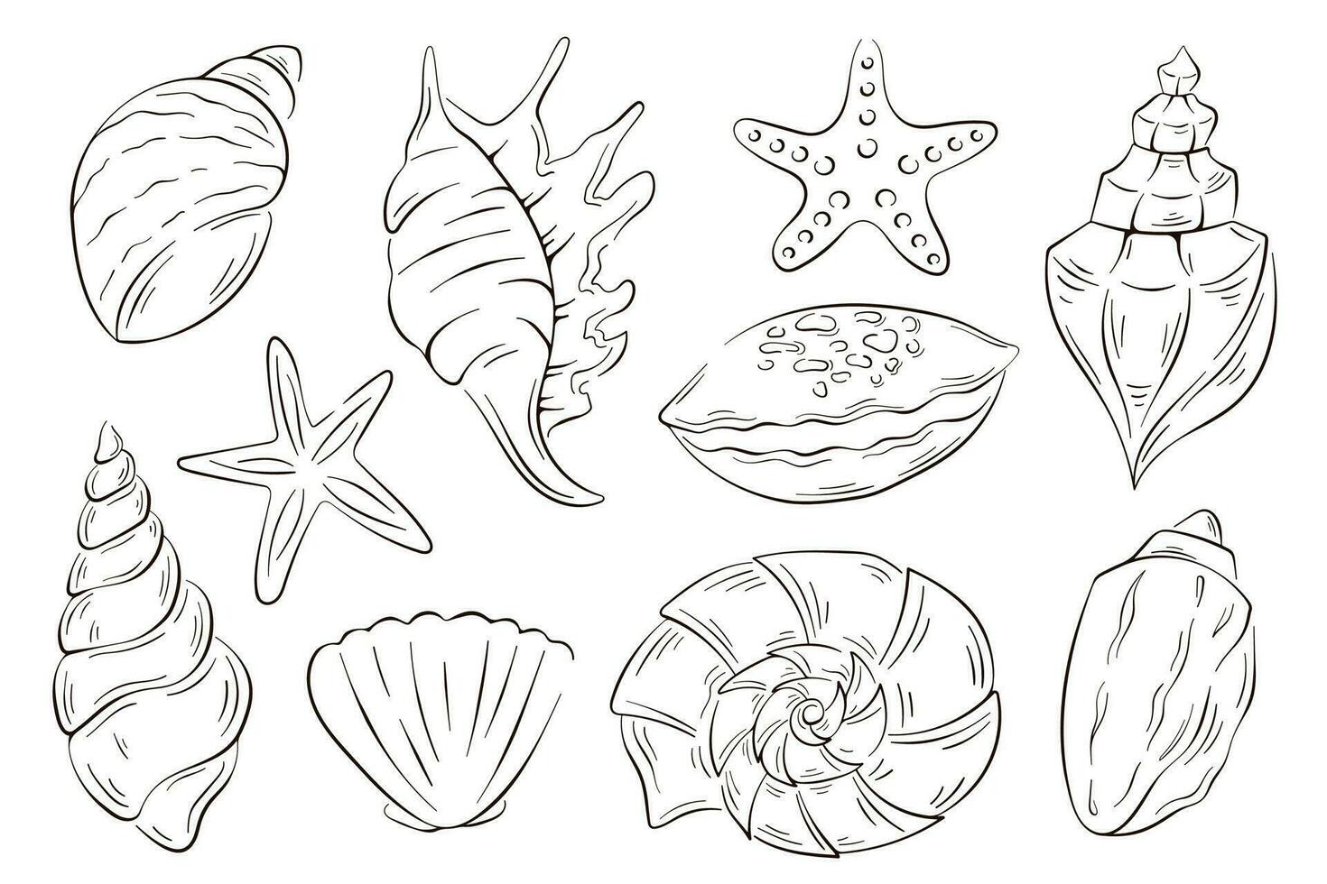 Undersea shells set in line art style. Summer design for fish restaurant, package, logo, icon, menu. Vector illustration isolated on a white background.