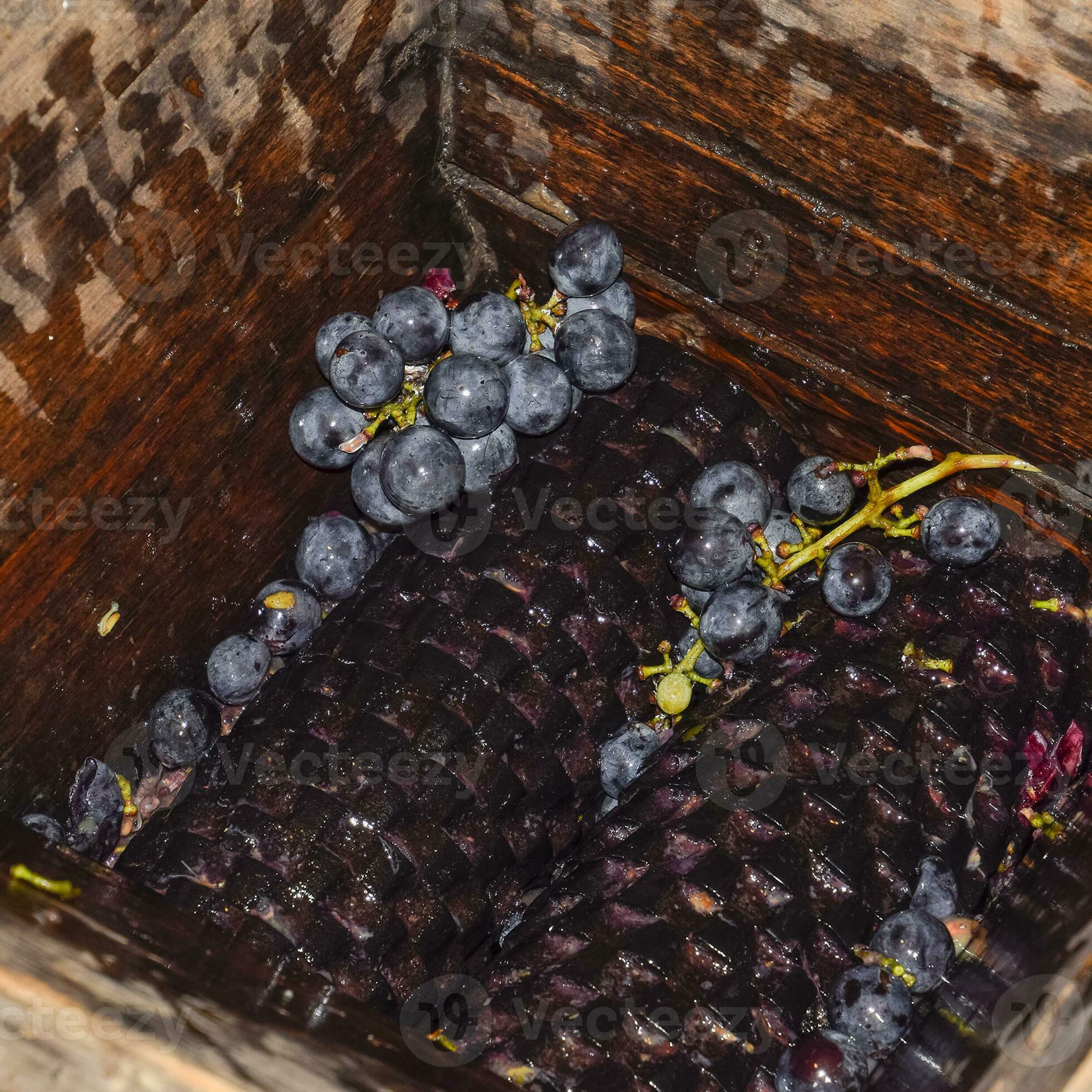 Manual mechanism for crushing grapes. Crush the grapes into juice and