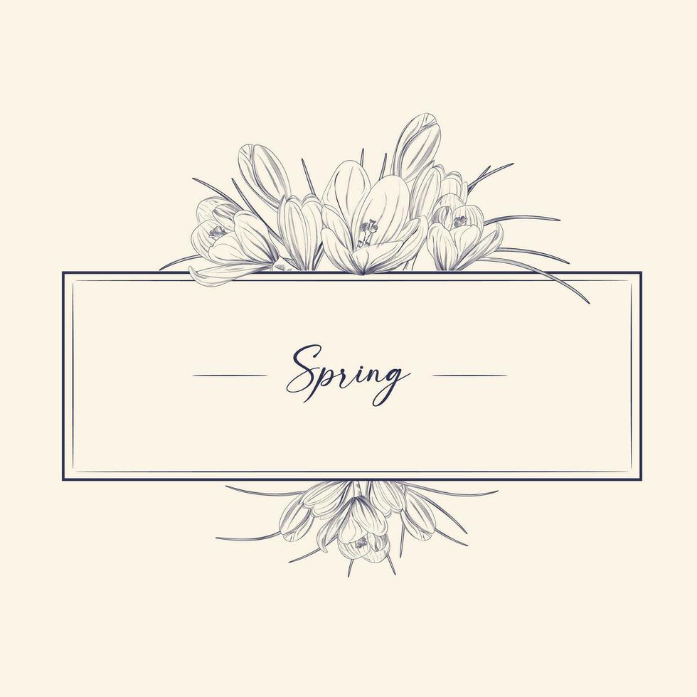 Frame of spring crocus design elements hand drawn. Square frame for text in vvodeb and spring design. vector