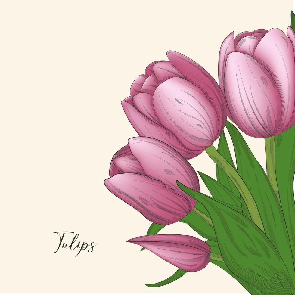 delicado tulipanes en blanco fondo, tulipanes ilustración. hermosa rojo tulipanes flores vector