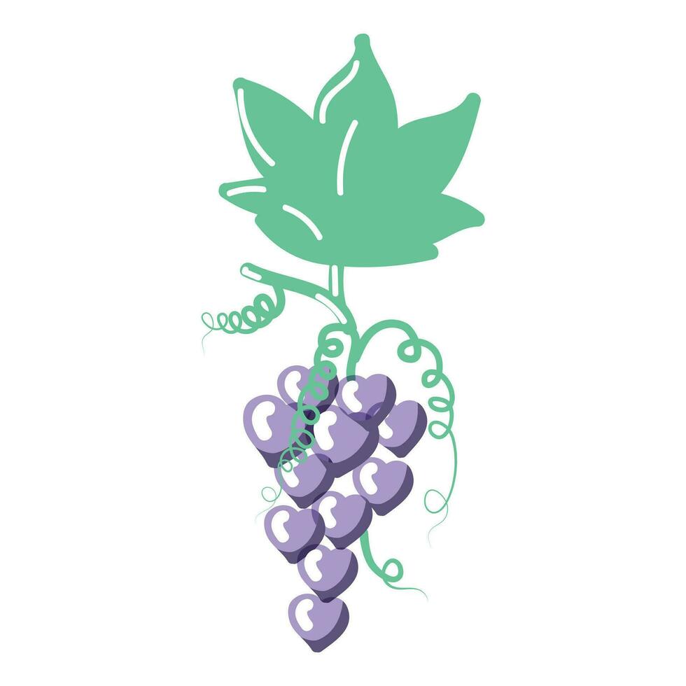 A bunch of grapes with heart-shaped berries. Vector illustration isolated on white background.