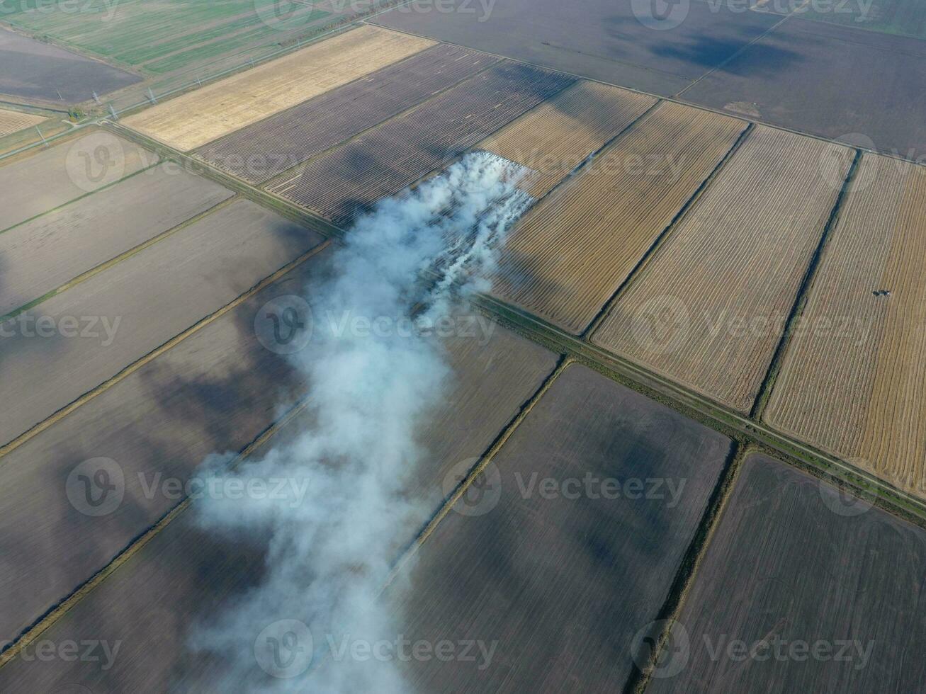 Burning straw in the fields after harvesting wheat crop photo