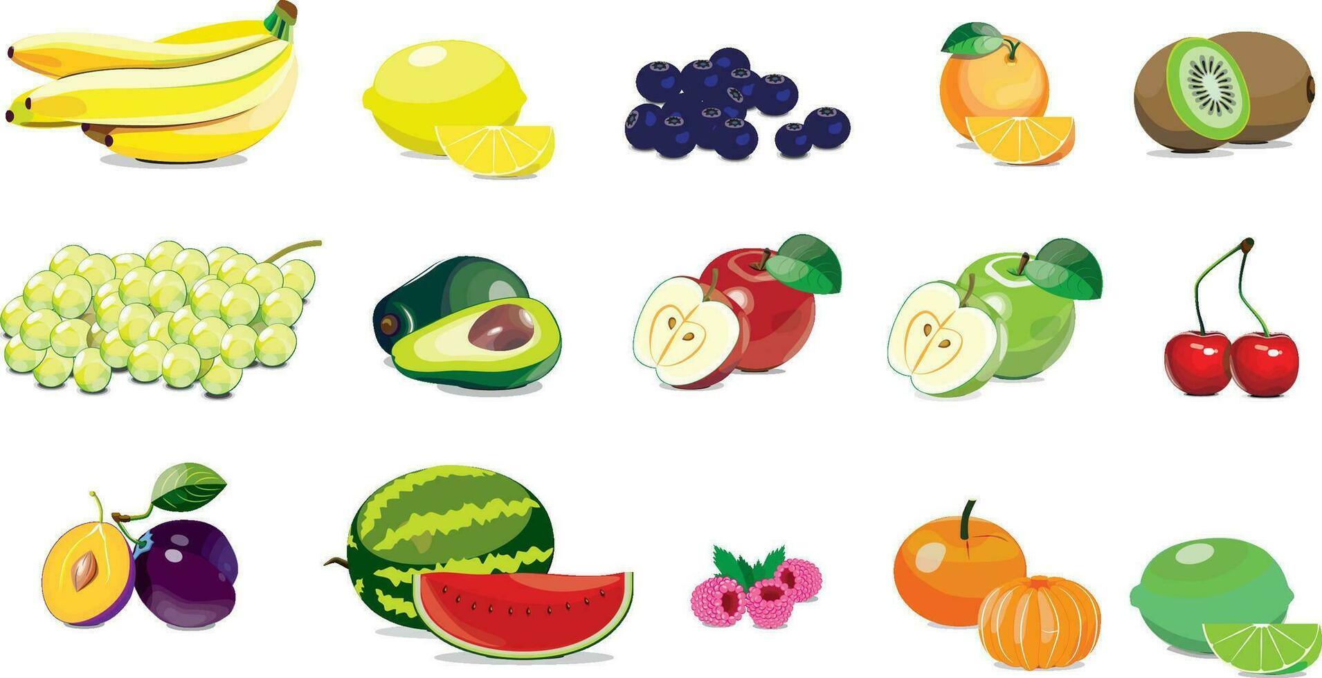 diferente ordena de sano frutas vector