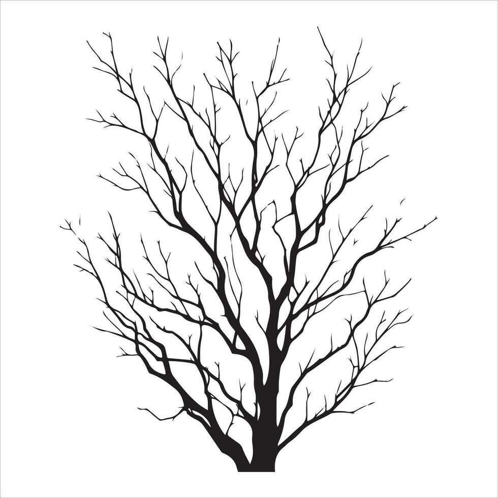 Minimal Autumn Naked Tree vector silhouette