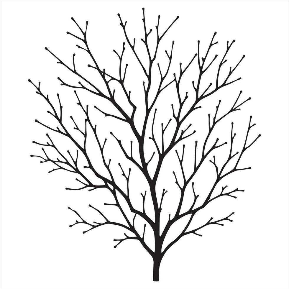 Minimal Autumn Naked Tree vector silhouette