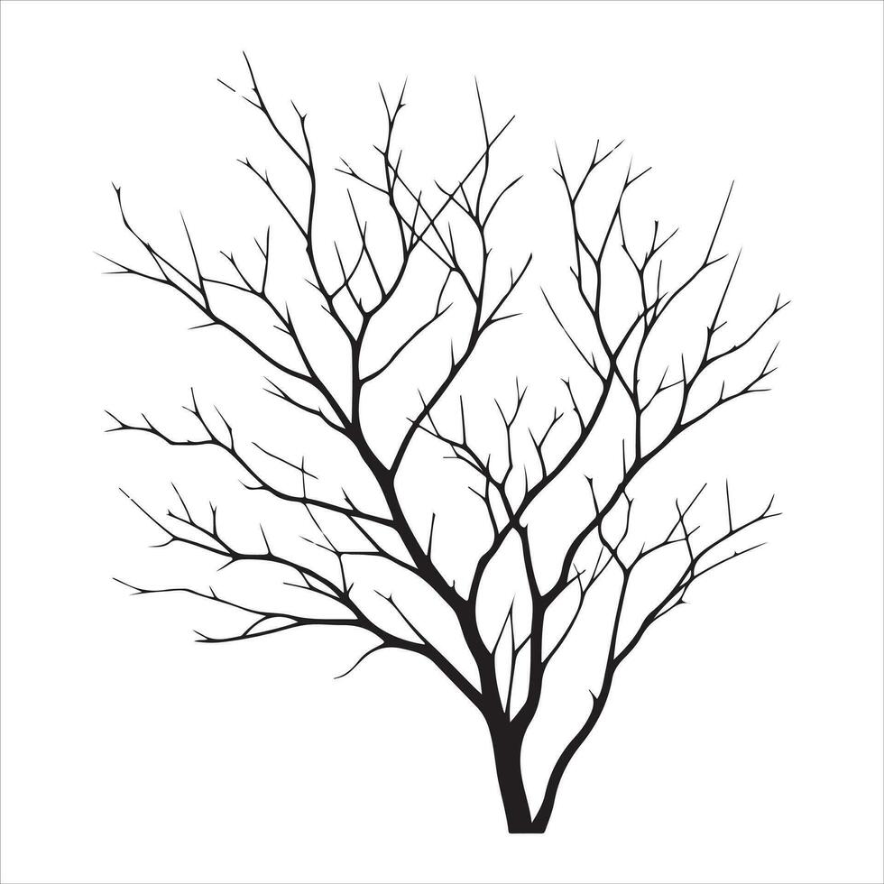 Minimal Autumn Naked Tree vector silhouette