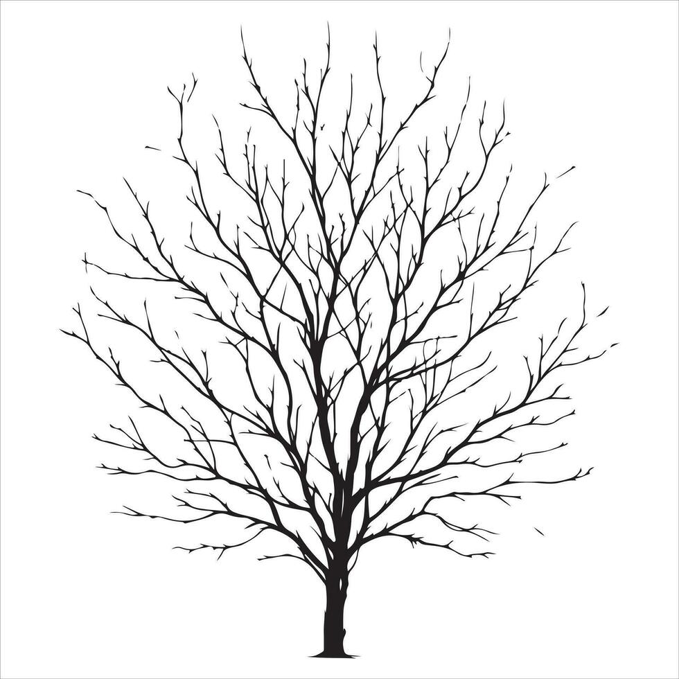 Naked Tree vector silhouette black color, a dead tree vector silhouette, tree branches silhouette