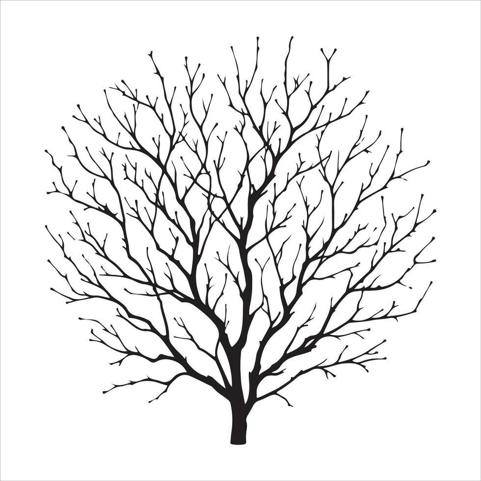Minimal Autumn Naked Tree vector silhouette