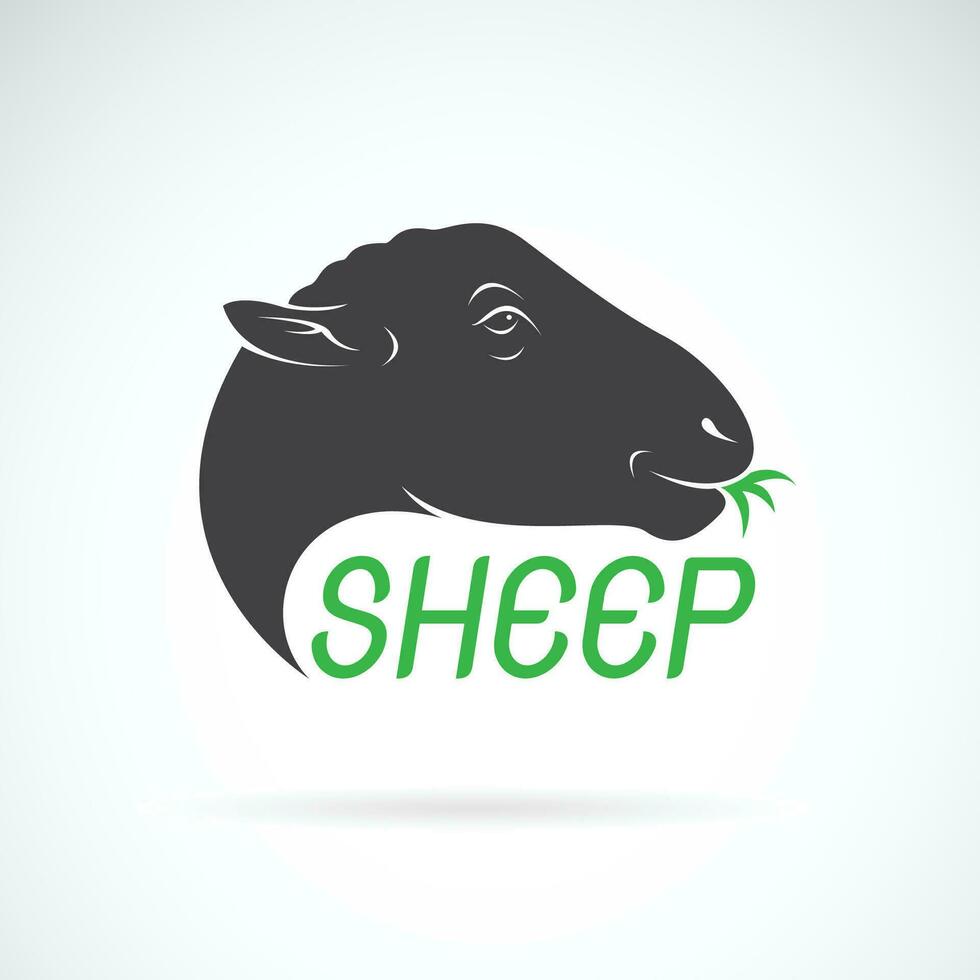 Vector of sheep head design on white background. Wild Animals. Easy editable layered vector illustration.