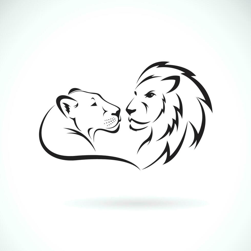 masculino león y hembra león diseño en blanco antecedentes. salvaje animales león logo o icono. fácil editable en capas vector ilustración.