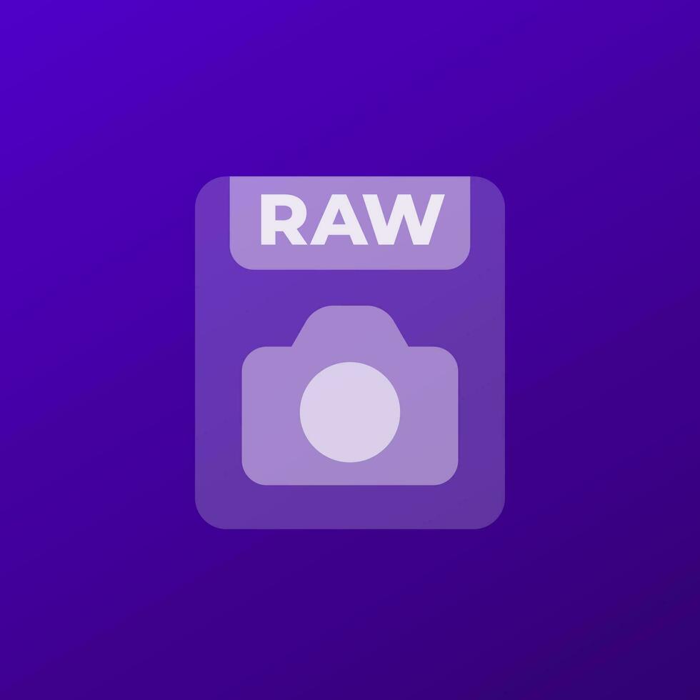 raw file icon with a camera, vector